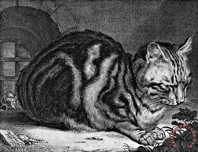 Sleeping Cat Engraving painting - Cornelis Visscher Sleeping Cat Engraving Art Print