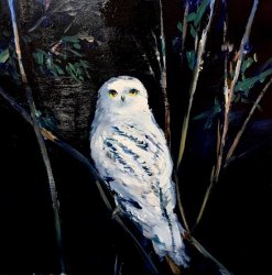 Craig Mooney Snowy Owl