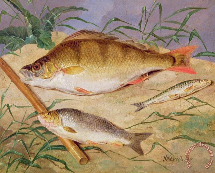 D Wolstenholme  An Angler's Catch of Coarse Fish Art Painting