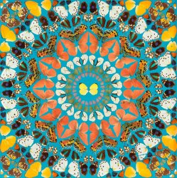 Damien Hirst Psalm 45 Eructavit Cor Meum, 2008