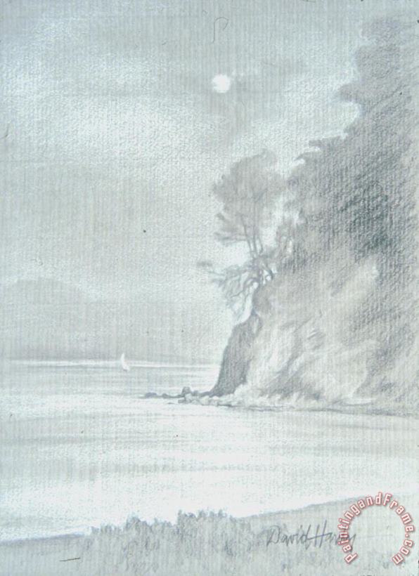 David Hardy Bay Moon Art Painting