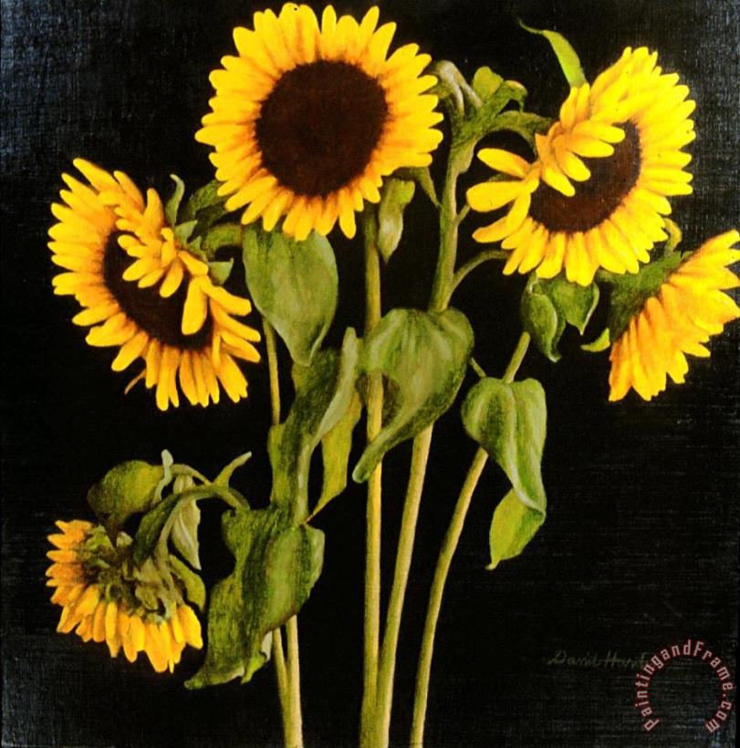 David Hardy Sunflowers Art Painting