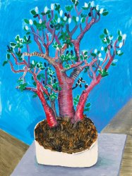 David Hockney Jade Plant, 1988