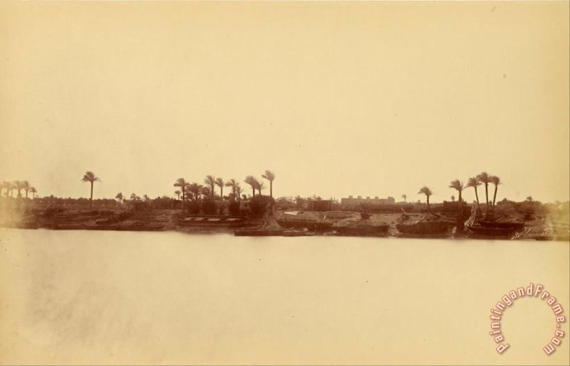 Banks of The Nile with Palm Trees And Boats painting - Despoineta Banks of The Nile with Palm Trees And Boats Art Print