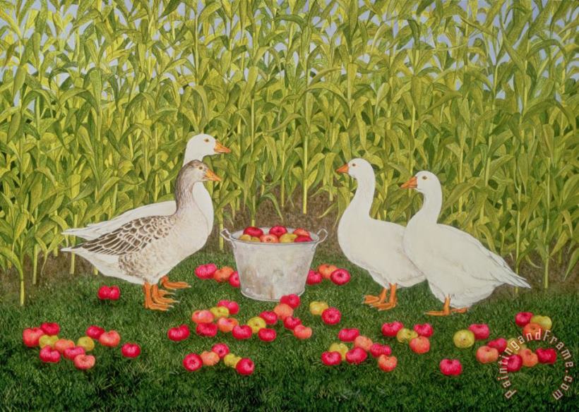 Sweetcorn Geese painting - Ditz Sweetcorn Geese Art Print
