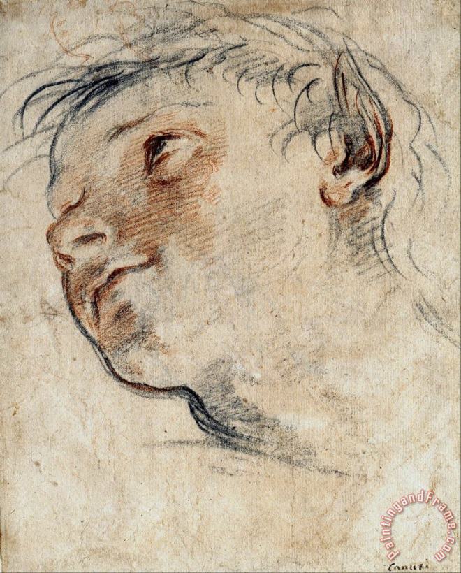 Domenico Maria Canuti Study for The Head of a Faun Art Print