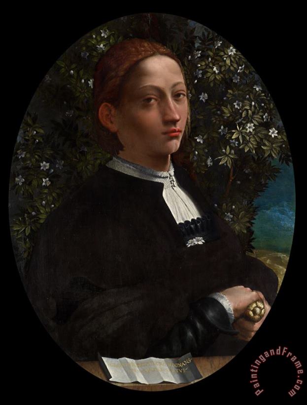 Dosso Dossi Lucrezia Borgia, Duchess of Ferrara Art Painting