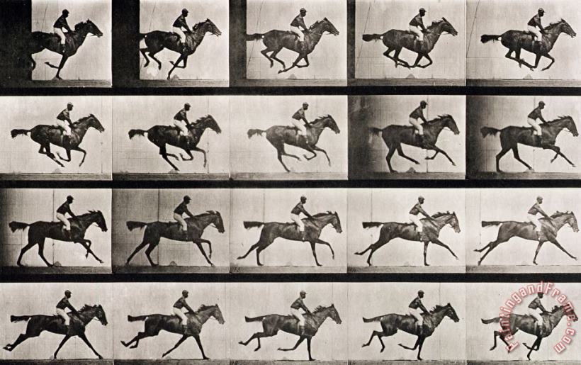 Eadweard Muybridge Jockey On A Galloping Horse Art Painting