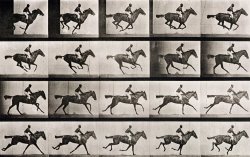 Eadweard Muybridge Jockey On A Galloping Horse
