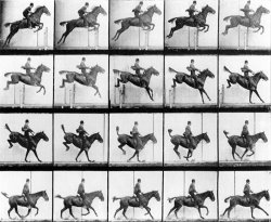 Eadweard Muybridge Man And Horse Jumping