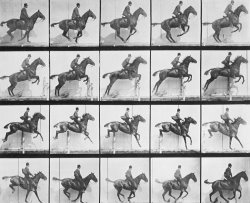 Eadweard Muybridge Man And Horse Jumping A Fence