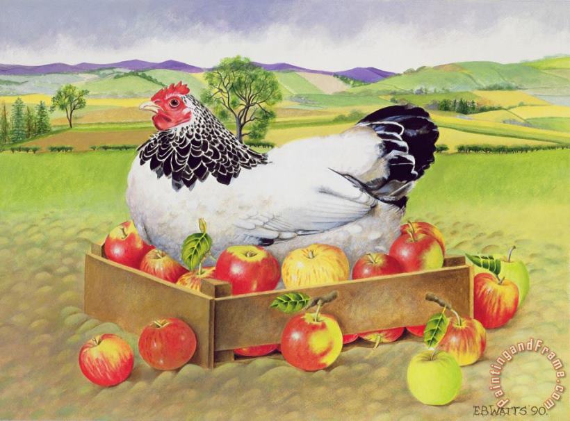 EB Watts Hen In A Box Of Apples Art Print