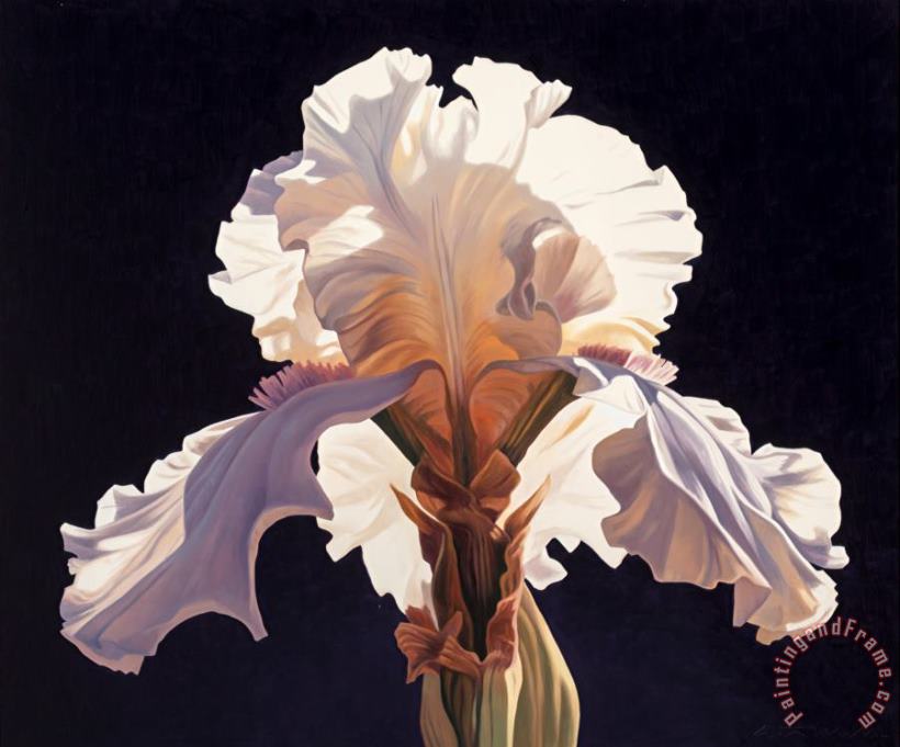 Symmetrical Iris, 1994 painting - Ed Mell Symmetrical Iris, 1994 Art Print