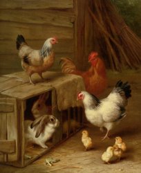 Edgar Hunt Cockerel Hens Chicks And Rabbit