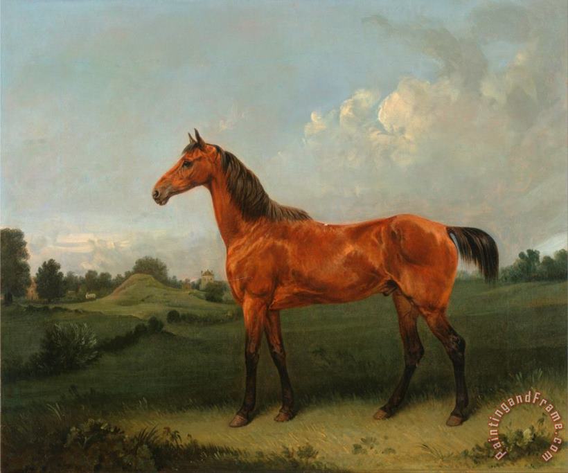A Bay Horse in a Field painting - Edmund Bristow A Bay Horse in a Field Art Print