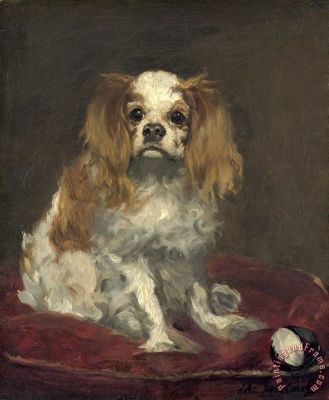 Edouard Manet A King Charles Spaniel Art Painting