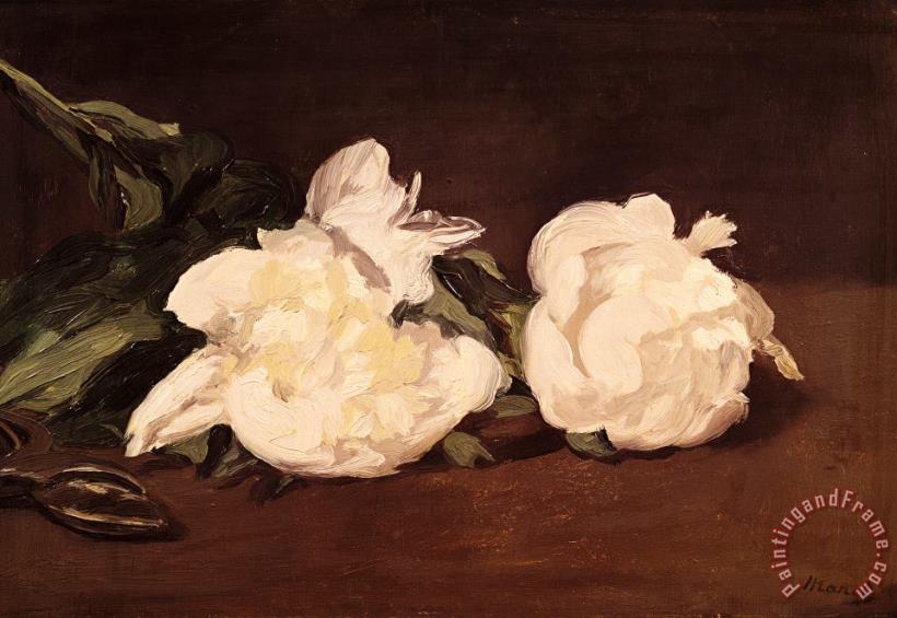 Edouard Manet Branch of White Peonies And Secateurs Art Print