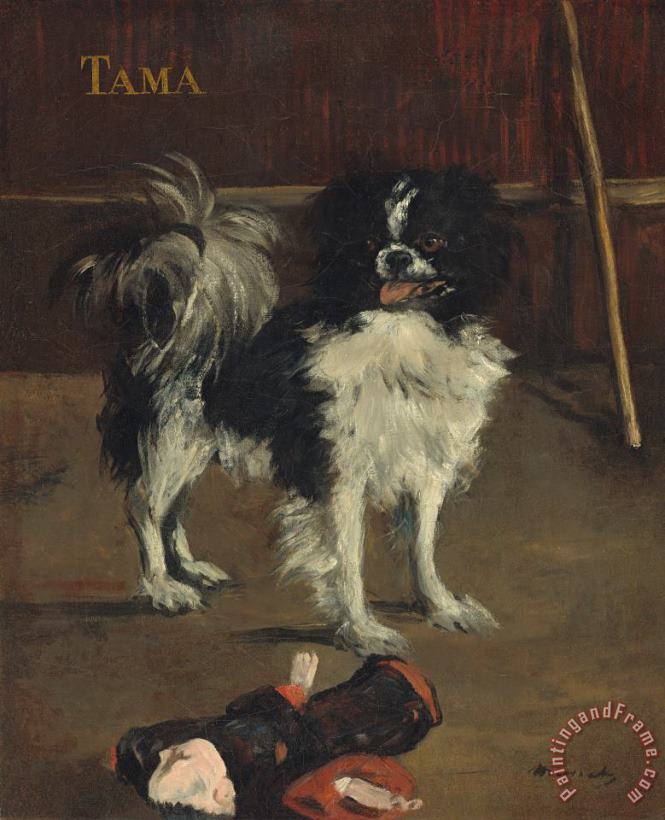 Edouard Manet Tama, The Japanese Dog Art Painting