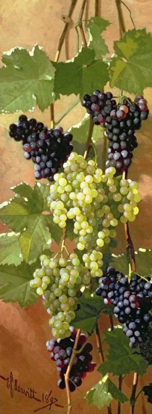 Grapes painting - Edward Chalmers Leavitt Grapes Art Print