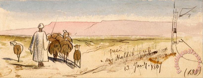 A Dry Halfeh Grass painting - Edward Lear A Dry Halfeh Grass Art Print