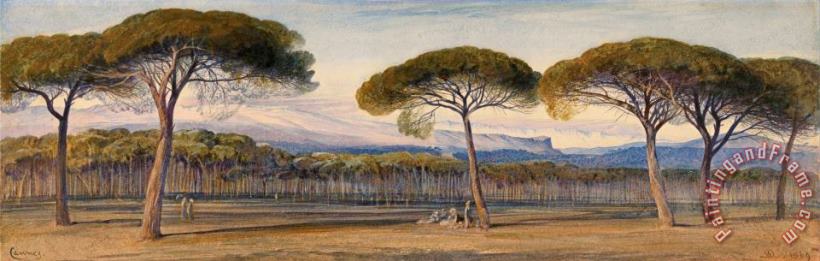Edward Lear A View of The Pine Woods Above Cannes Art Painting