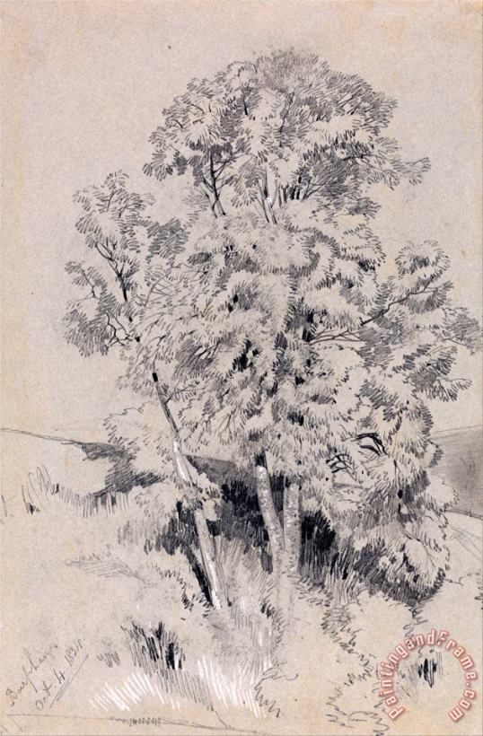 Edward Lear Burpham Oct.4.1834 Art Print