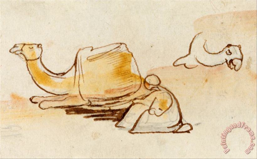 Edward Lear Camel Studies Art Painting