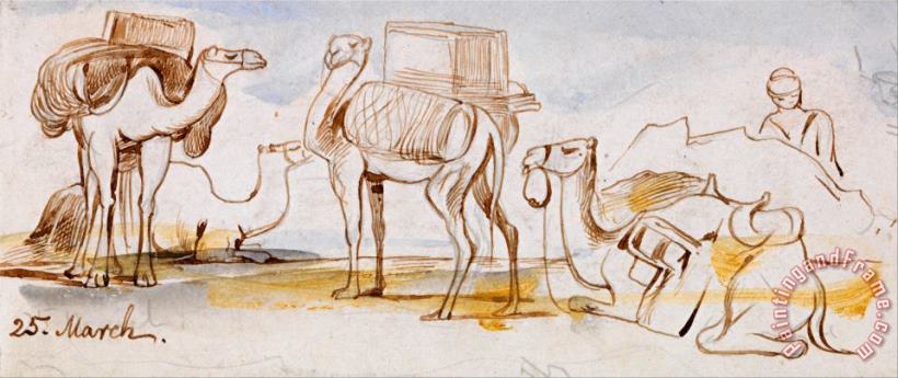 Camels painting - Edward Lear Camels Art Print