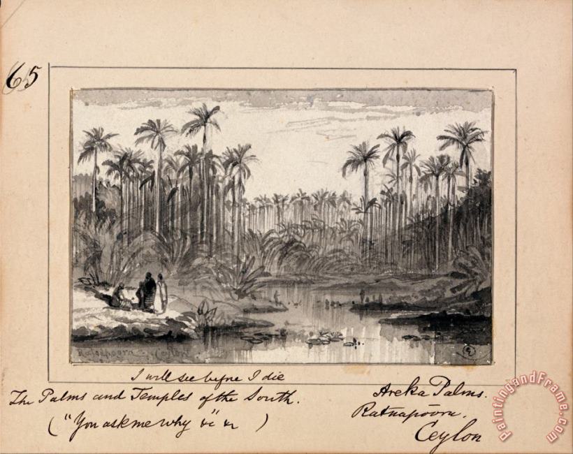 Edward Lear Illustration to Tennyson's You Ask Me Why Areka Palms, Ratanapooru, Ceylon Art Painting