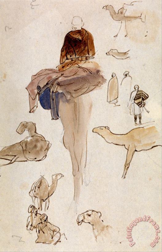 Edward Lear Studies of Camels Art Painting