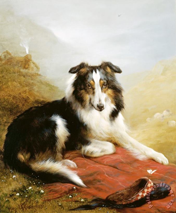 Edwin Douglas A Collie, The Guardian of The Flock Art Painting