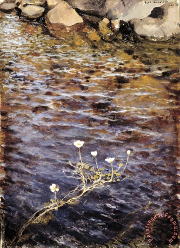 Pond Water Crowfoot painting - Eero Jarnefelt Pond Water Crowfoot Art Print