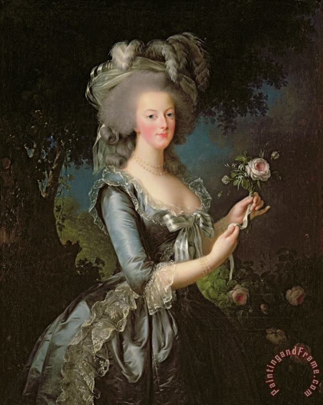 Marie Antoinette painting - Elisabeth Louise Vigee Lebrun Marie Antoinette Art Print