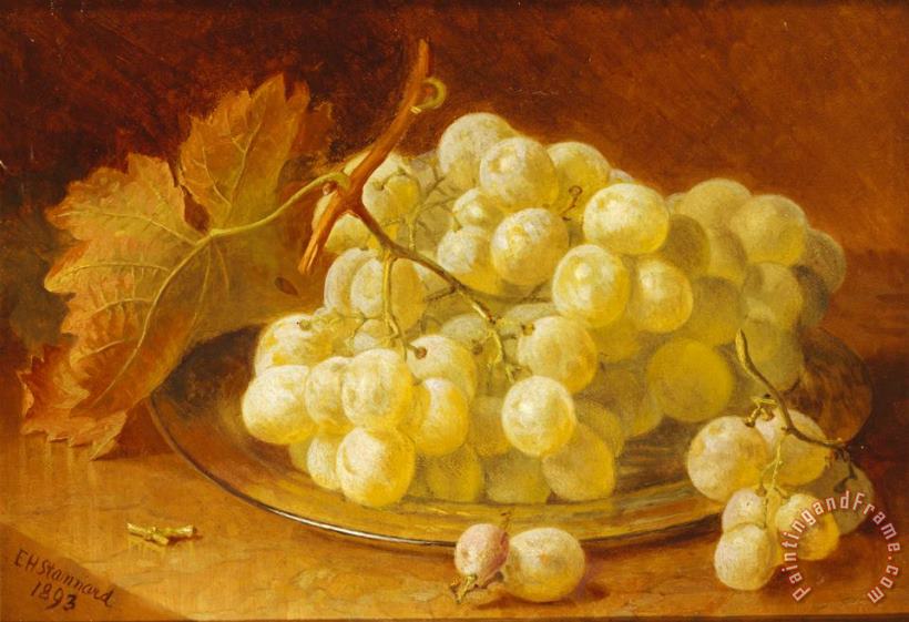 Grapes on a Silver Plate 1893 painting - Eloise Harriet Stannard Grapes on a Silver Plate 1893 Art Print