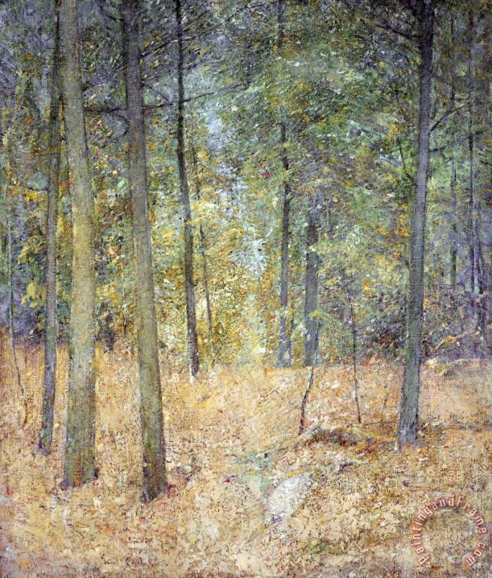 Emil Carlsen A Light in The Forest Art Painting