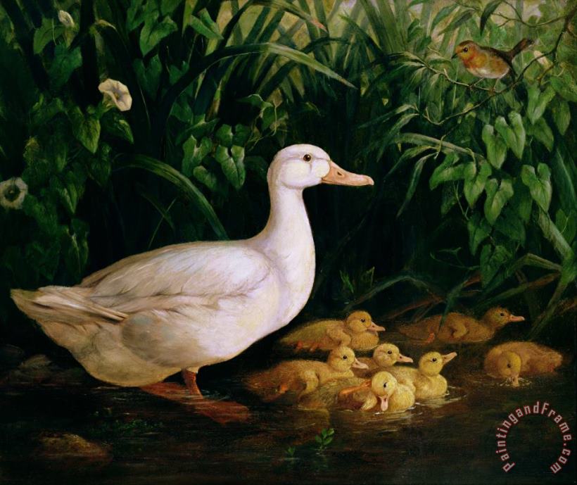 Duck and ducklings painting - English School Duck and ducklings Art Print