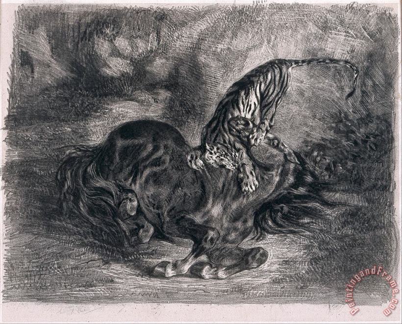Eugene Delacroix Cheval Sauvage Terrasse Par Un Tigre (wild Horse Felled by a Tiger) Art Painting