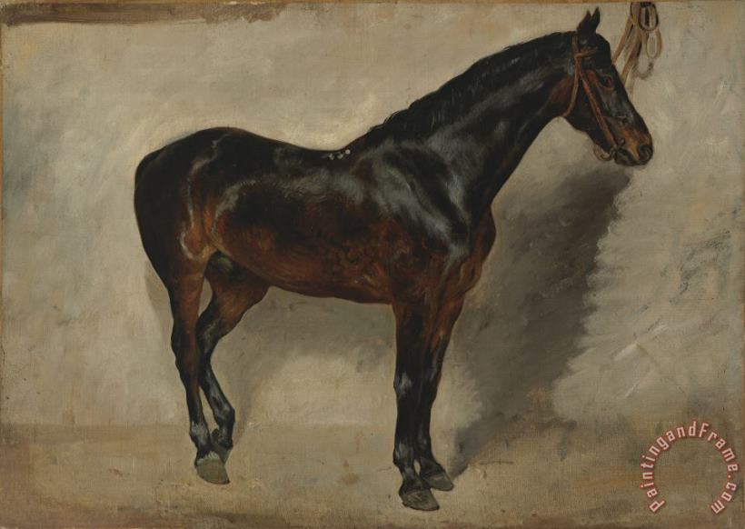 Eugene Delacroix Study of a Brown Black Horse Tethered to a Wall Art Print