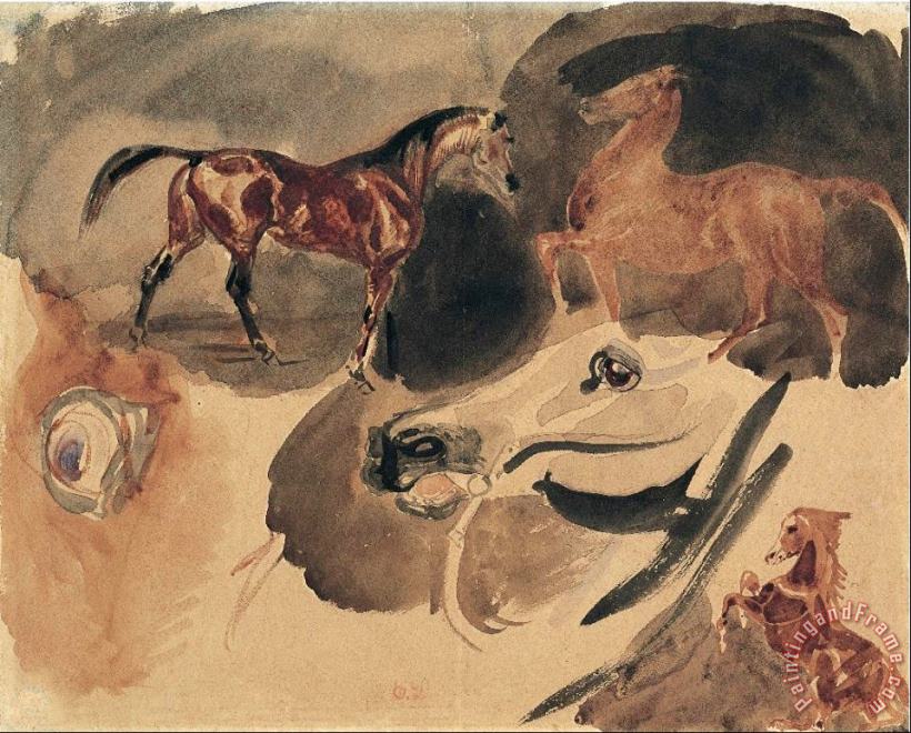 Study of Horses painting - Eugene Delacroix Study of Horses Art Print