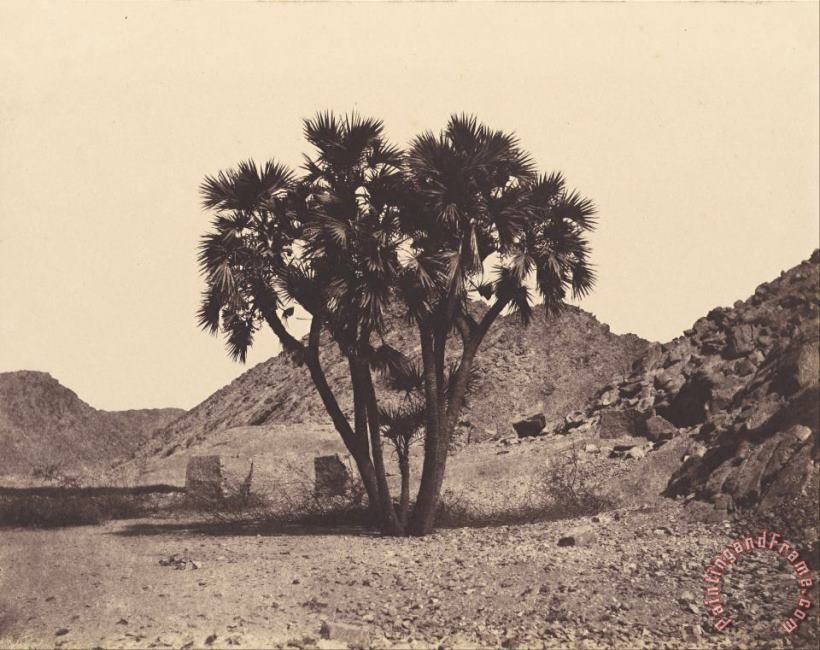 Felix Teynard Egypte Et Nubie. Sites Et Monuments...atlas Photographe...deuxieme Partie. Nubie. Art Painting