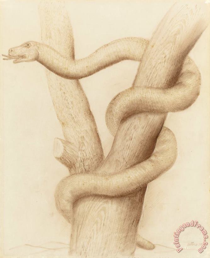 Snake, 1975 painting - Fernando Botero Snake, 1975 Art Print