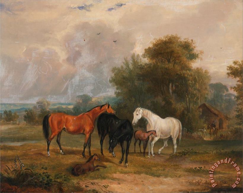 Horses Grazing Mares And Foals in a Field painting - Francis Calcraft Turner Horses Grazing Mares And Foals in a Field Art Print