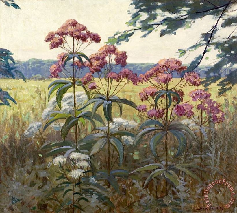 Frank V. Dudley Joe Pye Weed & Boneset Art Painting