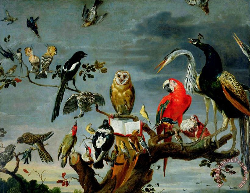 Concert of Birds painting - Frans Snijders Concert of Birds Art Print