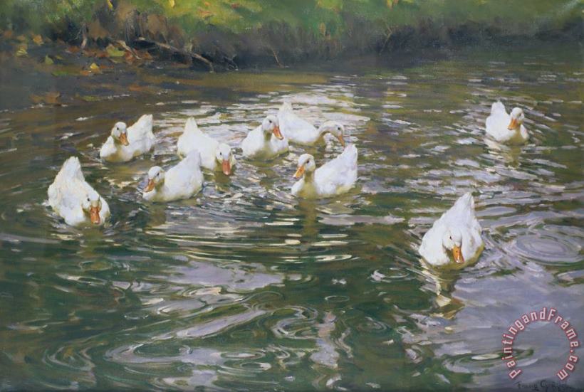 Franz Grassel White Ducks on Water Art Painting