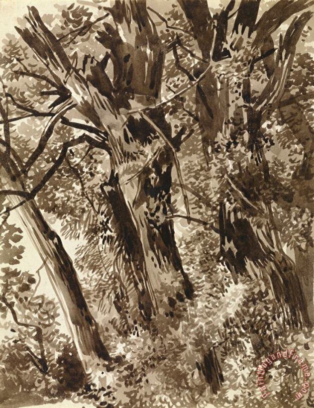 Trunks And Branches painting - Franz Innocenz Kobell Trunks And Branches Art Print