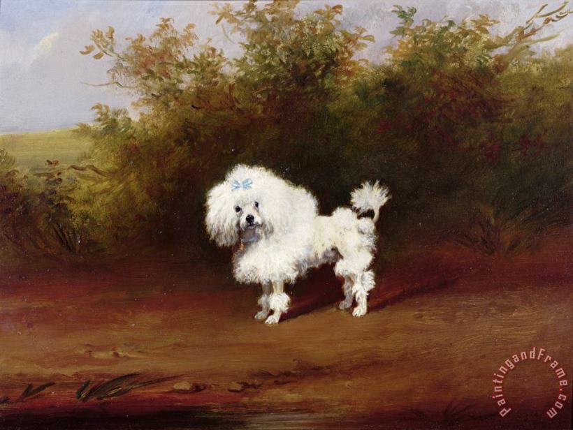 A Toy Poodle in a Landscape painting - Frederick French A Toy Poodle in a Landscape Art Print
