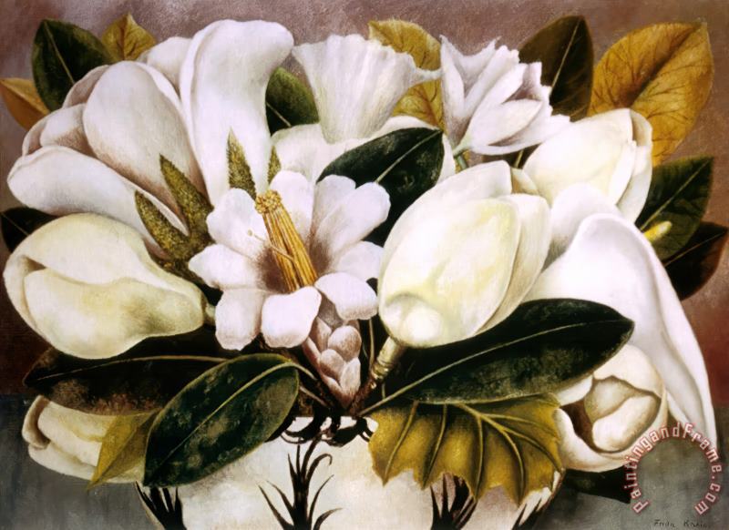 magnolias_1945-13543.jpg