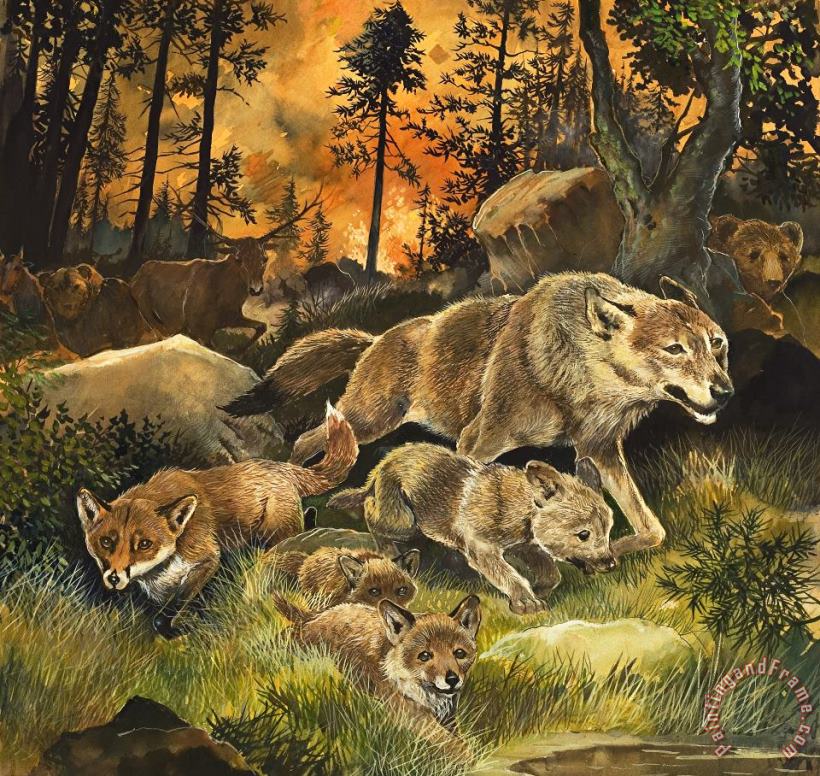 Animals United in Terror as They Flee from a Forest Fire painting - G W Backhouse Animals United in Terror as They Flee from a Forest Fire Art Print