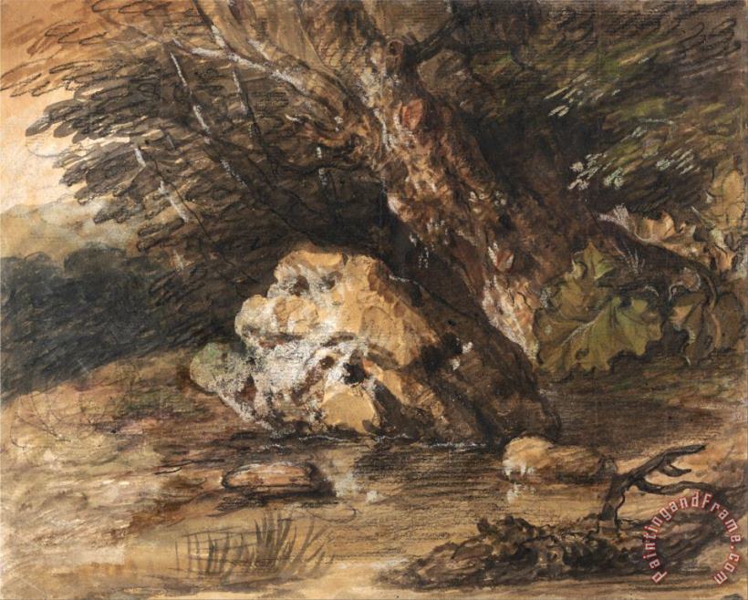 Gainsborough, Thomas A Woodland Pool with Rocks And Plants Art Print